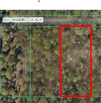 Shamrock Avenue, Dunnellon, FL 34431
