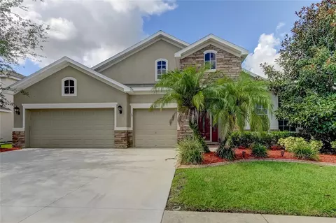 31524 Bearded Oak Dr, Wesley Chapel, FL 33543