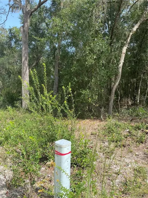3355 Pelican Ave, Inverness, FL 34450