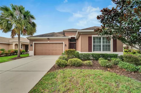 17425 Chelsea Downs Cir, Lithia, FL 33547