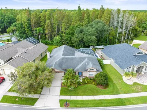 3908 Yellow Finch Ln, Lutz, FL 33558