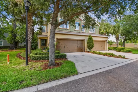 17012 Vilesta Dr, Lutz, FL 33548