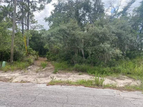 1529 Eloise Ct, Kissimmee, FL 34759