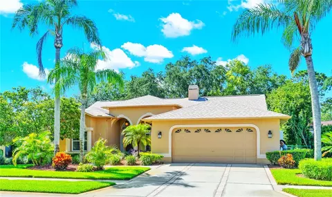 8124 Meadowview Pl, Trinity, FL 34655