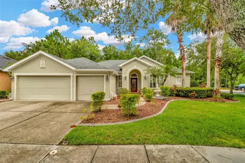 16141 Colchester Palms Dr, Tampa, FL 33647