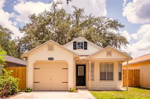23036 Dover Dr, Land O Lakes, FL 34639