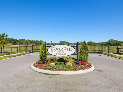 14265 Pine Straw Ct, Dover, FL 33527