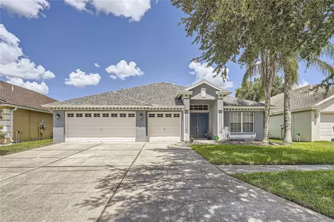 10541 San Travaso Dr, Tampa, FL 33647