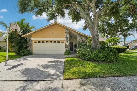 12014 Misty Brook Ct, Tampa, FL 33635
