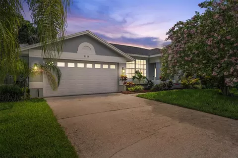 6514 Steeplechase Dr, Tampa, FL 33625