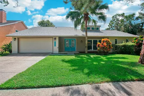 4523 Pine Hollow Dr, Tampa, FL 33624