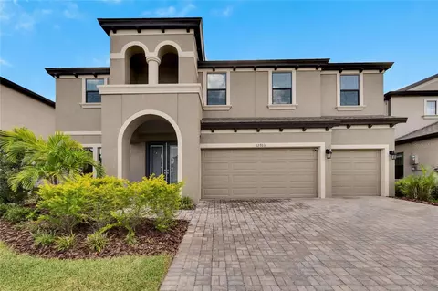 12703 Hammock Park Dr, Riverview, FL 33579 photo 1