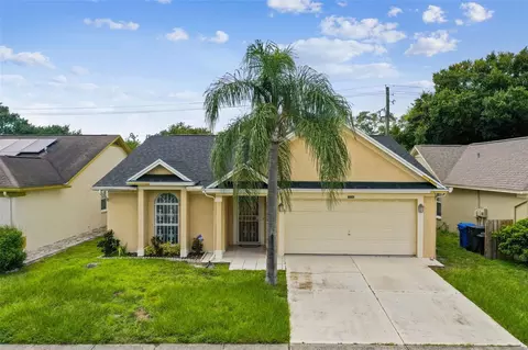 10009 Cedar Dune Dr, Tampa, FL 33624