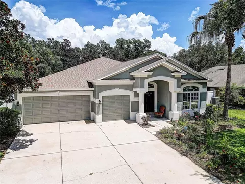 2040 Samantha Ln, Valrico, FL 33594
