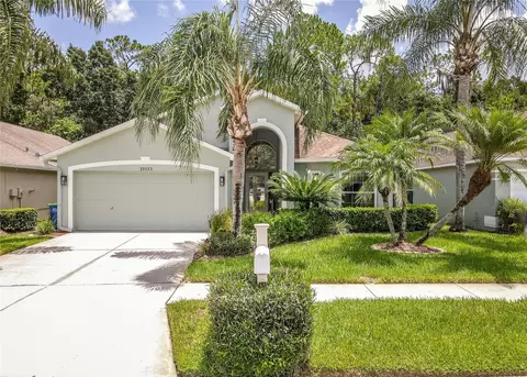 29523 Birds Eye Dr, Wesley Chapel, FL 33543