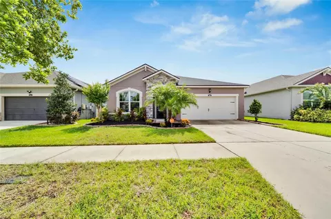 13025 Satin Lily Dr, Riverview, FL 33579