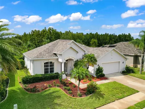 2131 Blue Beech Ct, Trinity, FL 34655