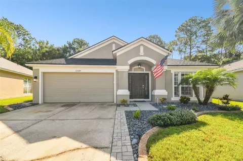 25349 Flying Ebony Ln, Wesley Chapel, FL 33544