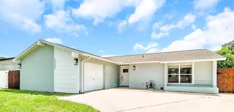 12507 Limpet Dr, Tampa, FL 33625