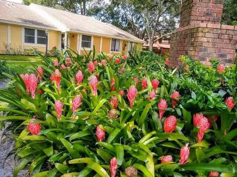 1937 Peppermill Dr #4D, Clearwater, FL 33763