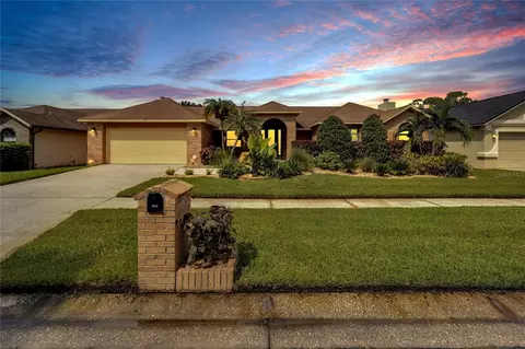 3519 Springville Dr, Valrico, FL 33596