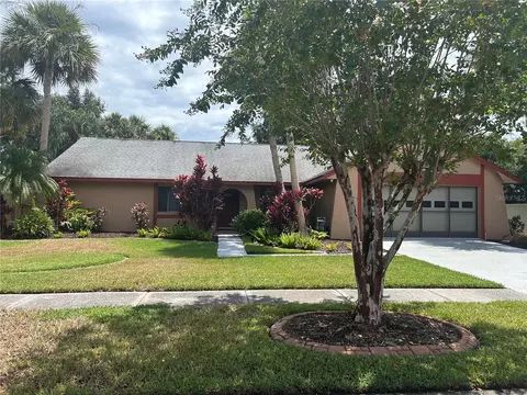 16601 Round Oak Dr, Tampa, FL 33618