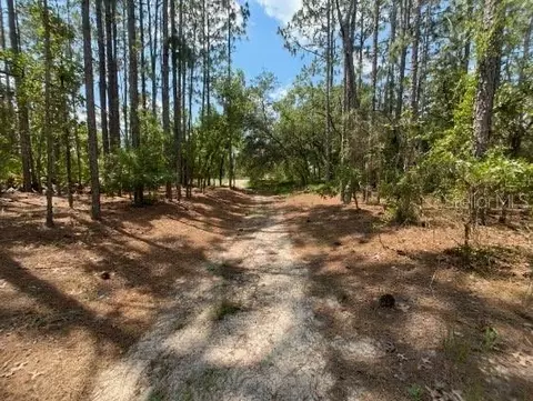 Sw 99th Lane, Dunnellon, FL 34432