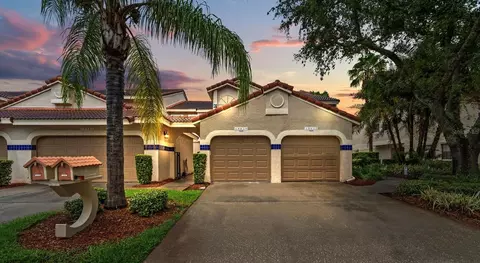 10439 La Mirage Ct, Tampa, FL 33615