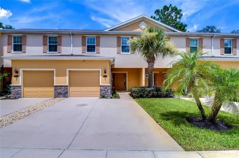 13907 River Cypress Way, Tampa, FL 33637
