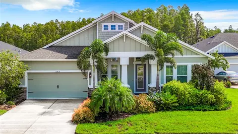 15419 Renaissance Ave, Odessa, FL 33556