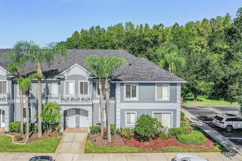 18174 Paradise Point Dr, Tampa, FL 33647