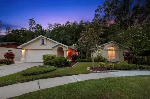 3663 Rusty Grackle Dr, Palm Harbor, FL 34683