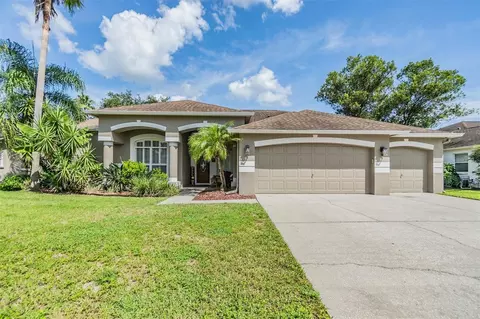 3904 Saddle Ridge St, Valrico, FL 33596