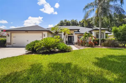 3827 Spruce Pine Dr, Valrico, FL 33596