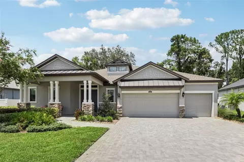 13615 Liana Rose Way, Tampa, FL 33618