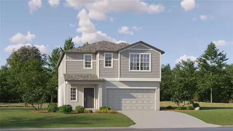 22303 Blazing Star Run, Land O Lakes, FL 34637