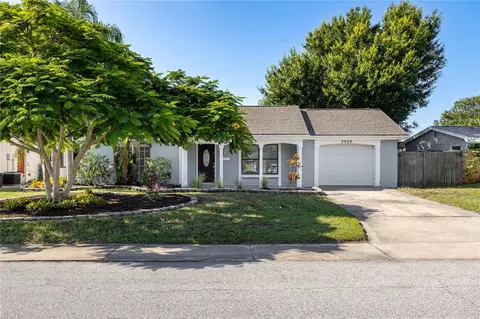 3902 Grayton Dr, New Port Richey, FL 34652
