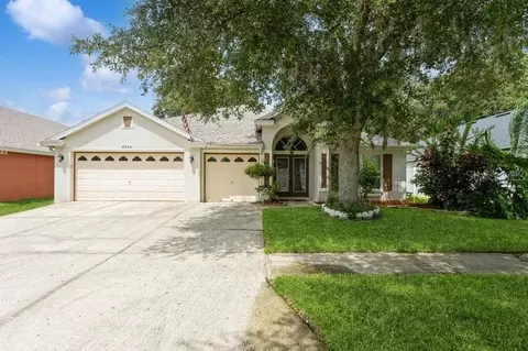 10538 San Travaso Dr, Tampa, FL 33647