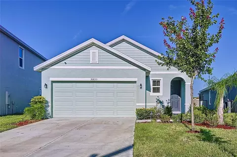 30833 Penny Surf Loop, Wesley Chapel, FL 33545 photo 1
