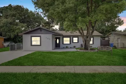 705 Holly Ter, Brandon, FL 33511