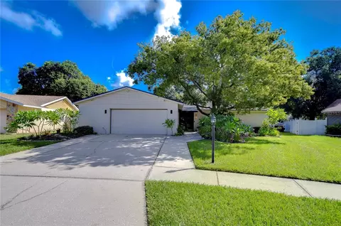 4008 Greenmark Ln, Valrico, FL 33596