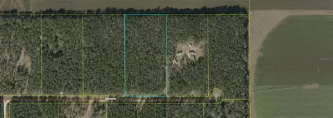 NE Coreopsis Trail, Lee, FL 32059