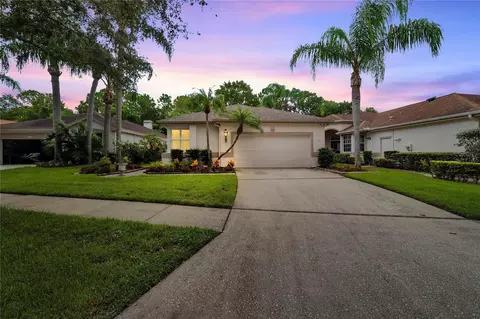 12114 Glencliff Cir, Tampa, FL 33626