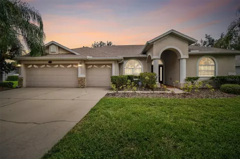 5306 Clouds Peak Dr, Lutz, FL 33558 photo 1