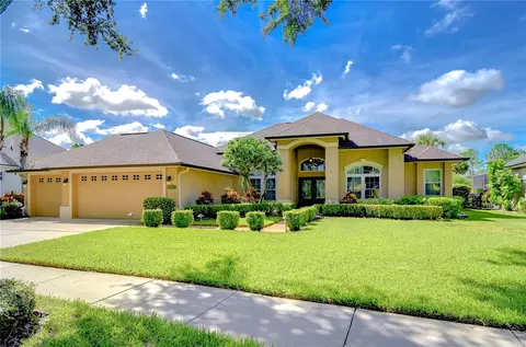 3406 Cypress Landing Dr, Valrico, FL 33596