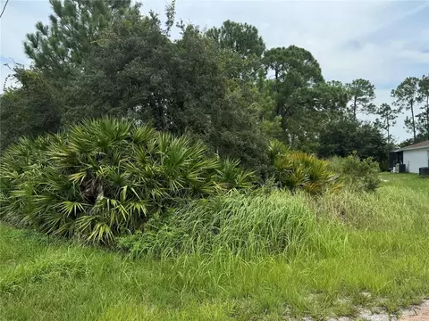 1238 Apopka Ln, Kissimmee, FL 34759