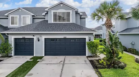 10307 Willow Leaf Trl, Tampa, FL 33625