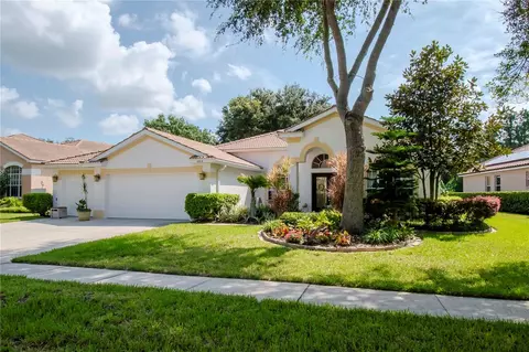 18013 Avalon Ln, Tampa, FL 33647