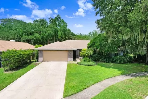 1112 Riflecrest Ave, Valrico, FL 33594