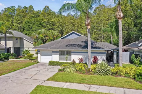 5937 Birchwood Dr, Tampa, FL 33625